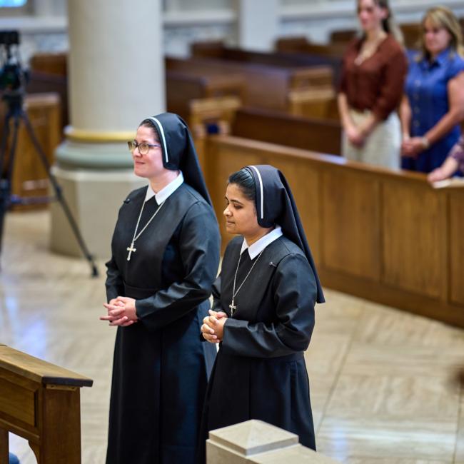Perpetual Profession of Vows